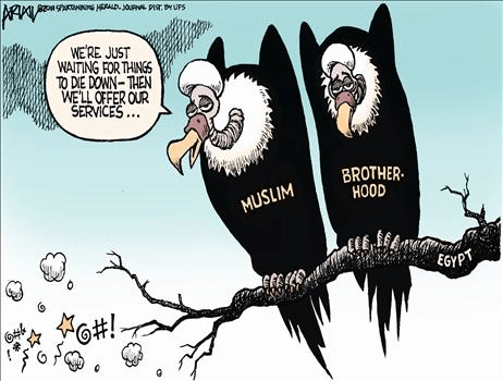Islamic Vultures