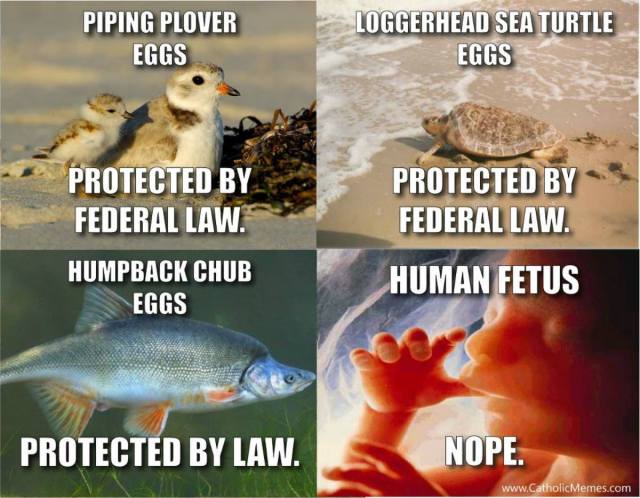 What is wrong with this picture?....